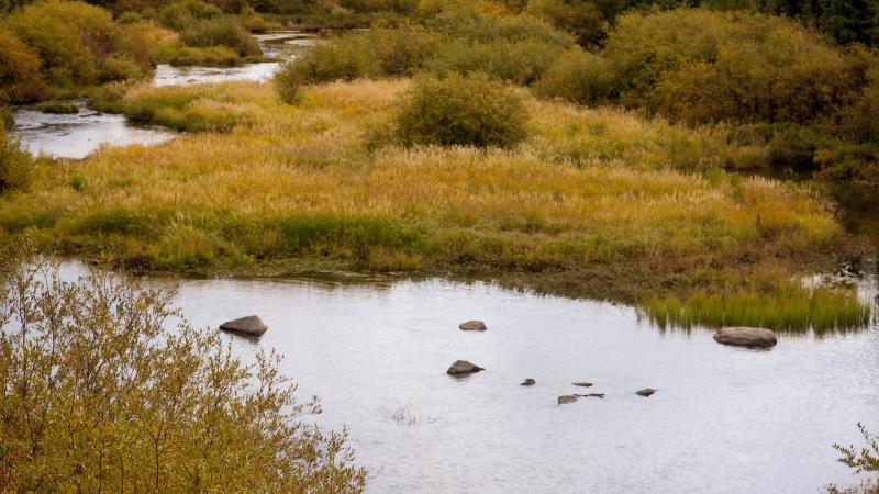 Landscape of grassy field on riverside